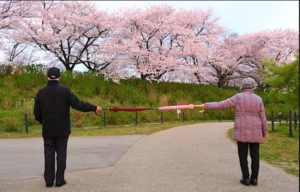 Social distance in the park